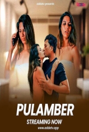 Plumber 2025 Addatv Short Film Download (2025)