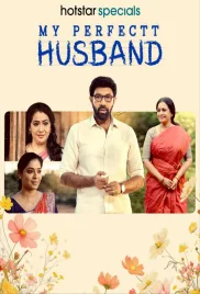 My Perfectt Husband 2024 S01 Complete Web Series Download (2024)
