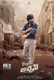 Mr Bachchan 2024 Hindi Dubbed Movie HDRip Download (2024)