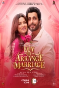 Luv Ki Arrange Marriage 2024 Hindi Movie HDRip Download
