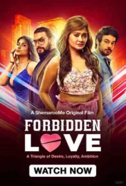 Forbidden Love 2024 Hindi Movie HDRip Download (2024)